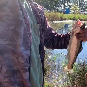 Meet your Posher, Martin